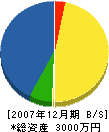 柴田工務店 貸借対照表 2007年12月期
