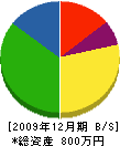 山正崎野商会 貸借対照表 2009年12月期
