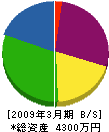 壱岐電話工業 貸借対照表 2009年3月期