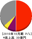 佐藤企業 損益計算書 2010年10月期