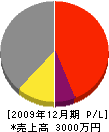 嶋内工務店 損益計算書 2009年12月期