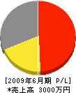 永井電機 損益計算書 2009年6月期