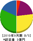 山本建設 貸借対照表 2010年9月期