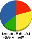 斉藤設備機工 貸借対照表 2010年6月期