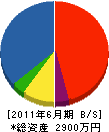 安蘇プランニング 貸借対照表 2011年6月期