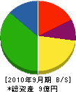 ヤナセ産業 貸借対照表 2010年9月期