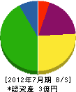 筑紫総合開発 貸借対照表 2012年7月期