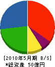 篠田 貸借対照表 2010年5月期