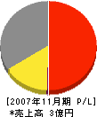 プライムシステム 損益計算書 2007年11月期