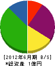 北日本ライン 貸借対照表 2012年6月期
