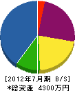 中沢電気 貸借対照表 2012年7月期