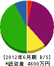 大晃電業 貸借対照表 2012年6月期