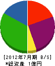 山藤 貸借対照表 2012年7月期