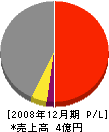 ペービックアイヅ 損益計算書 2008年12月期