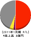 田村組 損益計算書 2011年1月期