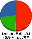 小金井電気商会 貸借対照表 2012年3月期