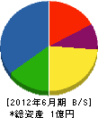 斉木工業 貸借対照表 2012年6月期