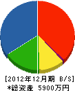 大塚工業 貸借対照表 2012年12月期