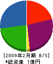 石川建装 貸借対照表 2009年2月期