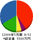 垣本電気 貸借対照表 2009年5月期