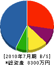 日本テクノ 貸借対照表 2010年7月期
