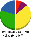 東亜安全施設 貸借対照表 2008年6月期