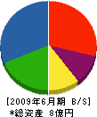 柴田建築 貸借対照表 2009年6月期