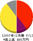 野田緑地 損益計算書 2007年12月期