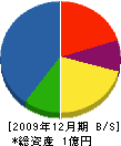 太嶋建設 貸借対照表 2009年12月期