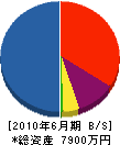 日興企画 貸借対照表 2010年6月期
