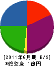 田代産業 貸借対照表 2011年6月期