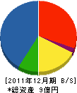 薩川組 貸借対照表 2011年12月期