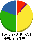 袖ヶ浦興産 貸借対照表 2010年9月期