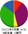 大阪塗工 貸借対照表 2012年9月期