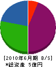 カネタ商会 貸借対照表 2010年6月期