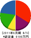 岩崎電機 貸借対照表 2011年6月期