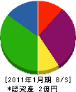 今井石産 貸借対照表 2011年1月期