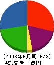 坪井工務店 貸借対照表 2008年6月期