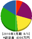 壱岐電話工業 貸借対照表 2010年3月期