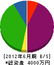 尾村美建 貸借対照表 2012年6月期