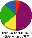 扇塗装 貸借対照表 2010年12月期