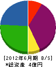 三津浜工業 貸借対照表 2012年6月期