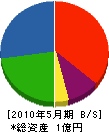 高橋電気 貸借対照表 2010年5月期