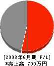 エースジャパンエステート 損益計算書 2008年6月期