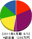 上垣ポンプ設備工業 貸借対照表 2011年6月期