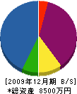 南九調査開発 貸借対照表 2009年12月期
