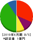 西川興業 貸借対照表 2010年6月期