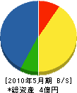 庭の川島 貸借対照表 2010年5月期