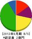 東京緑化 貸借対照表 2012年6月期