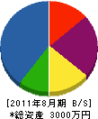 栞造園 貸借対照表 2011年8月期